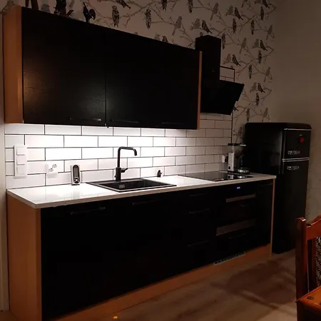 Lomahuvila Metso * Siikainen