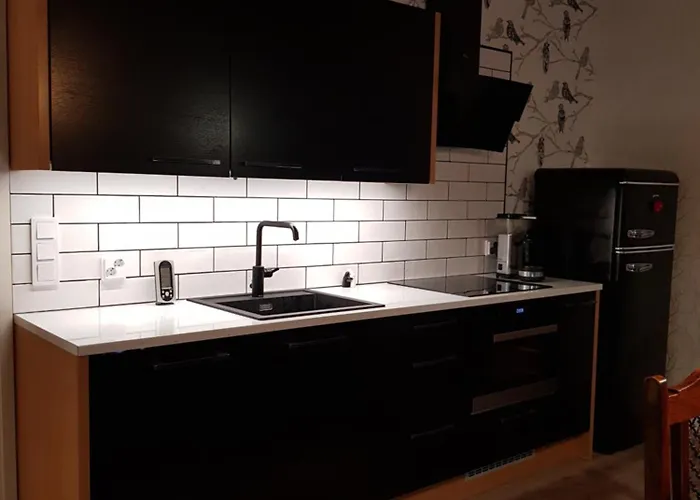 Lomahuvila Metso * Siikainen